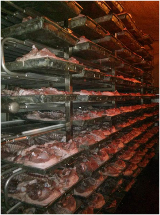 肉类冷库